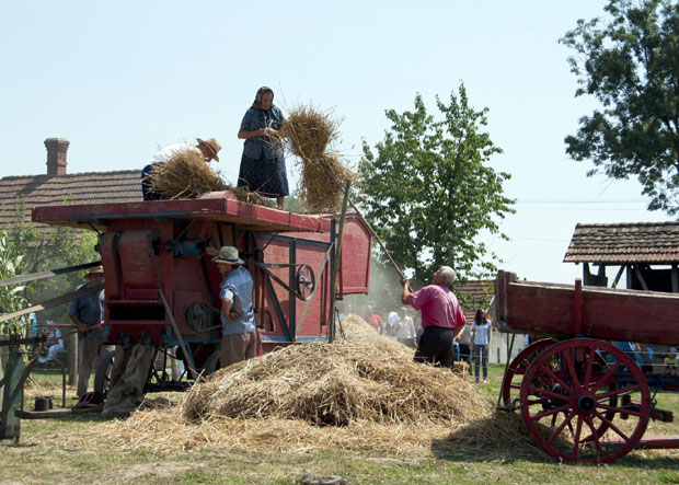 На послу са багерима, а код куће скупља старине